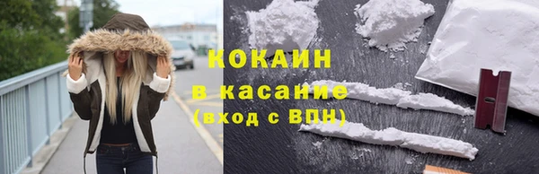 apvp Вяземский