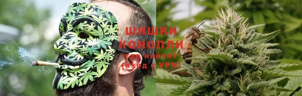 apvp Вяземский