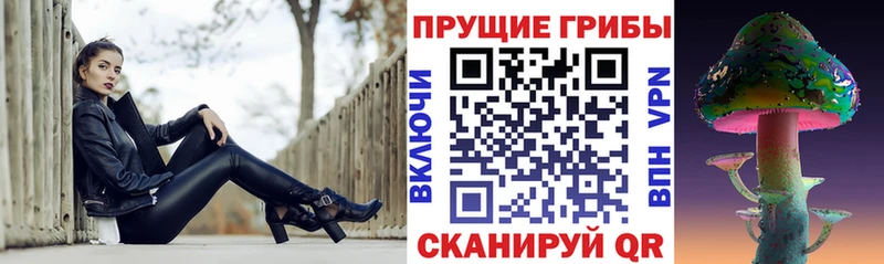 Галлюциногенные грибы Psilocybe  Звенигород 