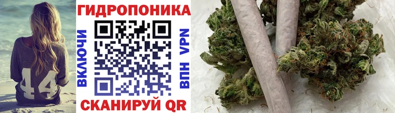 купить наркотик Звенигород Канабис SATIVA & INDICA